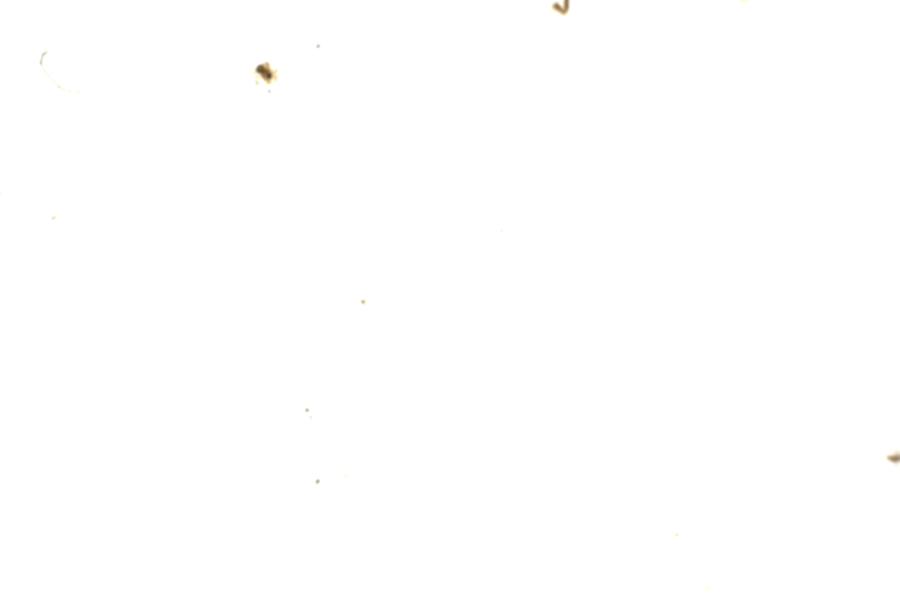 Image 94
